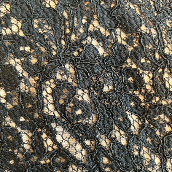 Adrianna Papell Black Lace Dress with Nude Lining - Picture 10 of 10